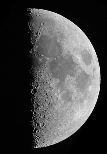 التربيع الأول يزين سماء الوطن العربي