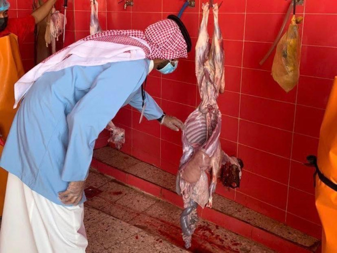 أمانة الجوف وبلدياتها : ذبح 3820 أضحية في أول أيام عيد الأضحى