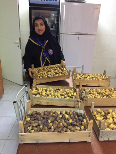 رواد كشافة الإمارات يوزعون تباشير الرطب ضمن برنامج(لول ما تحول)