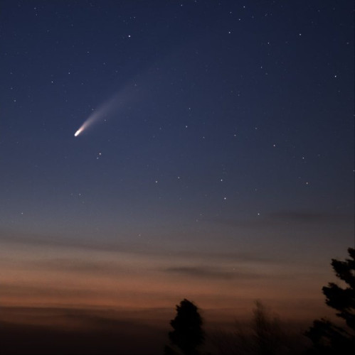 كيف سيكون المذنب نيووايز خلال الليالي القادمة؟