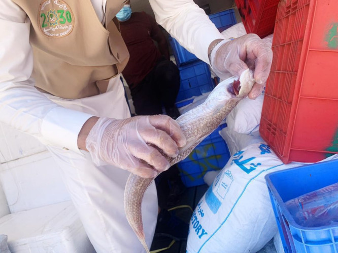 بلدية القريات : تقوم بـ ” ٢٤٨ ” جولة على المحال التجارية وتصادر ١١١ مواد منتهية وتزيل 4145م٣ انقاض