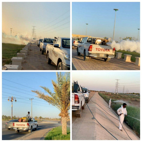 أمانة تبوك تكثف عمليات مكافحة الحشرات والآفات في عددٍ من المواقع بمدينة تبوك