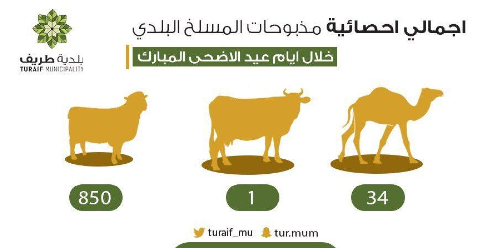 أكثر من 850 أضحية استقبلها المسلخ البلدي في محافظة طريف
