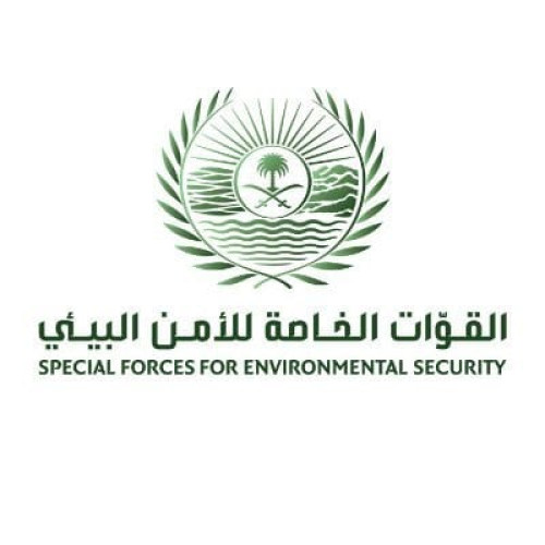 متحدث القوات الخاصة للأمن البيئي: تحديد هوية الأشخاص الذين قاموا بإيذاء سلاحف على أحد شواطئ محافظة أملج بتبوك