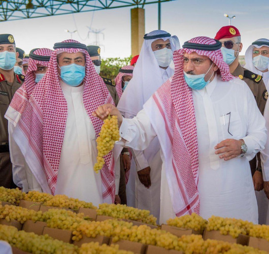 سمو الأمير فيصل بن مشعل يزور مهرجان العنب بمنطقة القصيم بنسخته السابعة