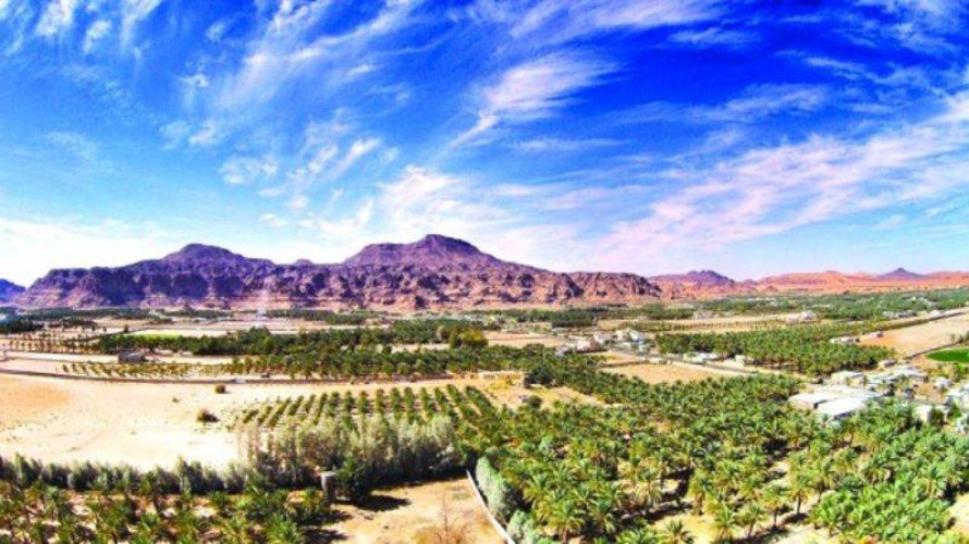 بـ”جبة حائل”..عزاء يسفر عن إصابة ٣٠ شخصاً بكورونا