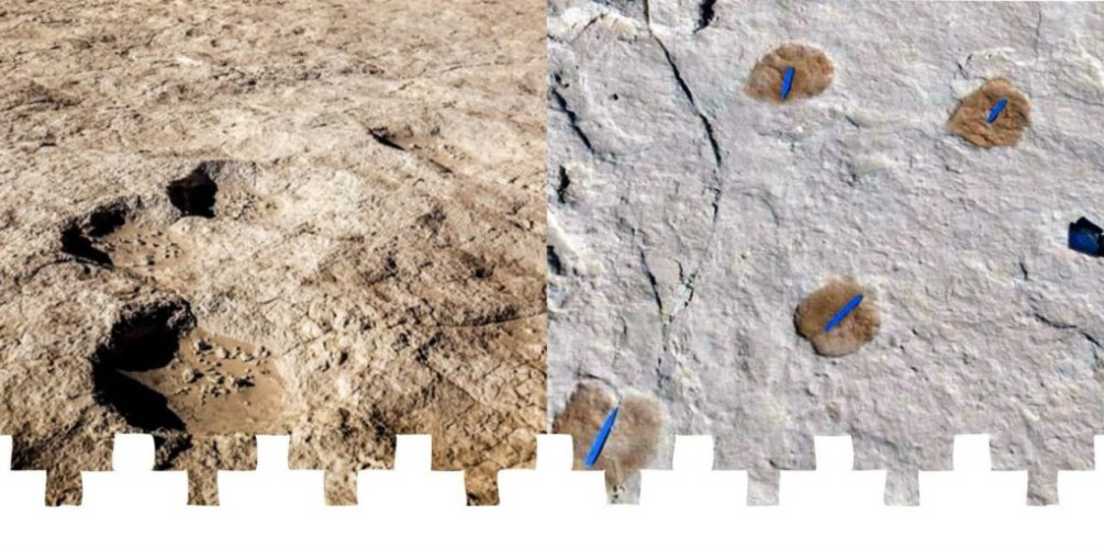 “فريق سعودي” دولي يكشف دلائل لهجرات إلى الجزيرة العربية منذ أكثر من 120 ألف سنة في صحراء النفود