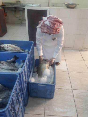 بلدية القريات ” : تنفذ 293 جولة على المحال التجارية تسفر عن مخالفة 36 محل