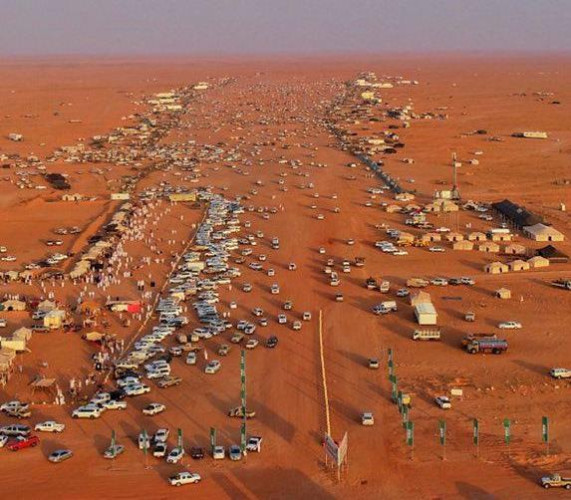 اختتام مزاد تربة حائل للإبل بعد ان سجل اعلى صفقة بيع بـ 2 مليون ريال ودخل 27 مليون ريال