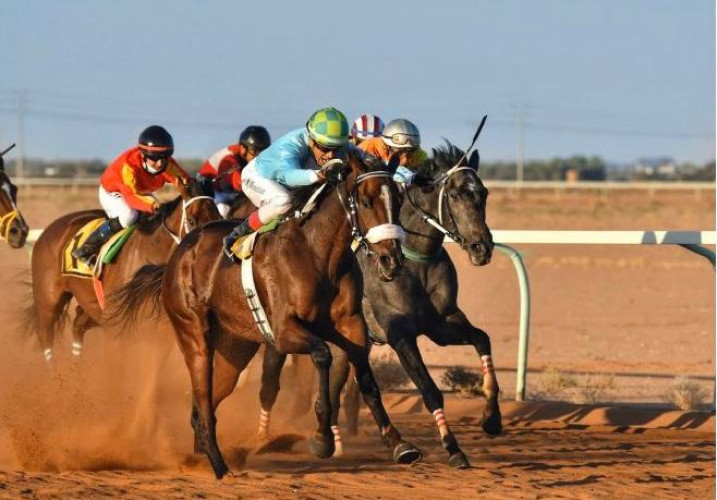 فروسية حائل تنظم غدا حفل سباقه الثاني لهذا العام