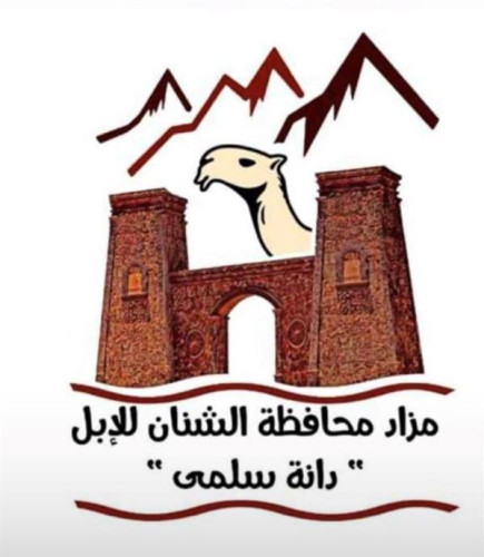 انطلاق مزاد دانة سلمى للإبل بنسخته الأولى ‏بمحافظة الشنان الأحد القادم