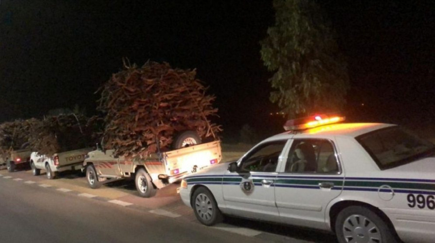 أمن الطرق يضبط 20 شاحنة بحمولاتها من الحطب المحلي المعدة لغرض البيع