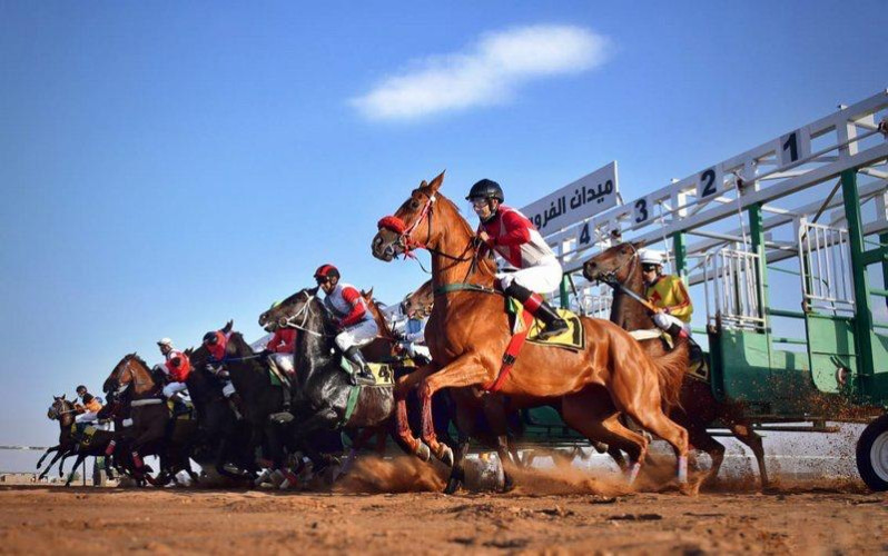 ‎ميدان الفروسية بحائل ينظم غداً حفل سباقة الخامس