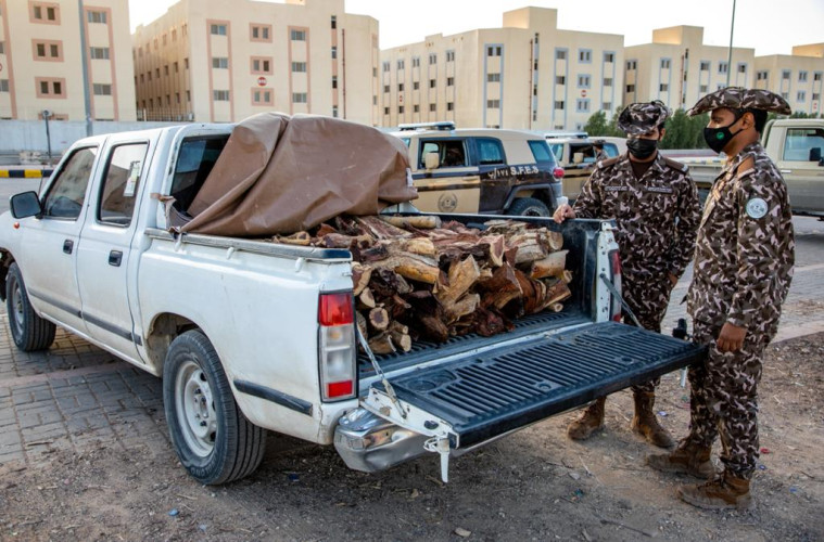 القوات الخاصة للأمن البيئي تضبط أكثر من 9 أطنان من الحطب المحلي المعد للبيع في الرياض
