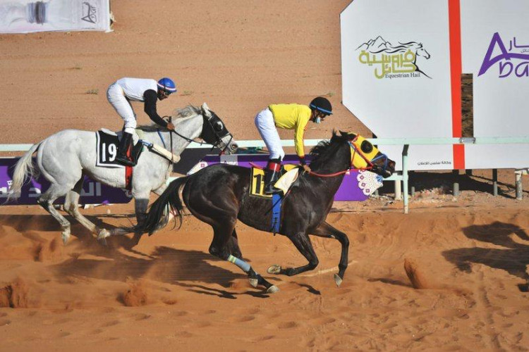 فروسية حائل تنظم حفل سباقها الثامن عشر غداً