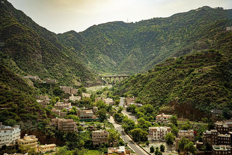 ولي العهد يعلن عن إطلاق شركة السودة للتطوير باستثمارات متوقعة تتجاوز قيمتها 11 مليار ريال