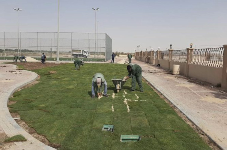 بلدية بقيق تأهل خمس حدائق وتزرع أكثر من 800 شجرة ضمن خطتها لزيادة المسطحات الخضراء للربع الأول لهذا العام 1442هـ