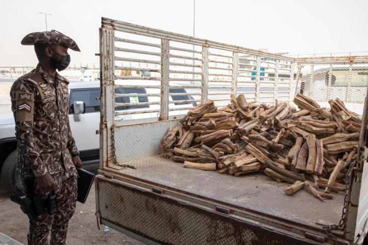 القوات الخاصة للأمن البيئي تضبط مخالفين لنظام البيئة لبيعهم واستخدامهم حطبًا محليًا في أنشطة تجارية