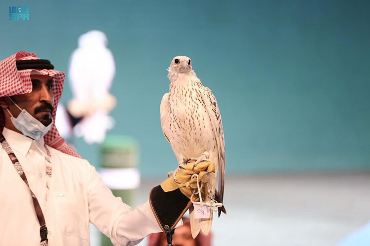 300 ألف ريال حصيلة اليوم الثالث للمزاد الدولي لمزارع إنتاج الصقور