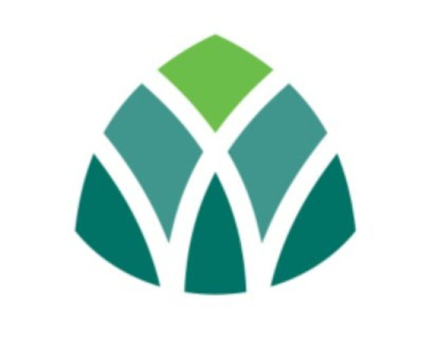 أمانة المدينة :خمس خطوات للتعامل مع المركبات التالفة لتحسين المشهد الحضري