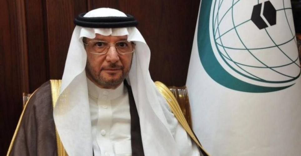 “التعاون الإسلامي” تدين المحاولات الحوثية لتهديد حركة الملاحة العالمية في جنوب البحر الأحمر