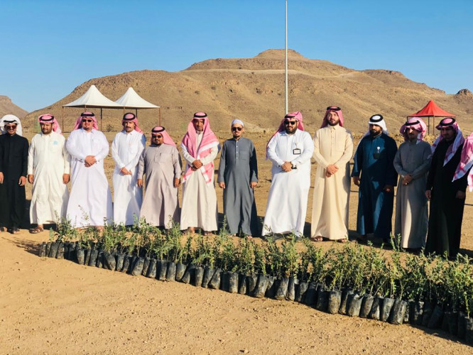 زراعة 2000 شتلة في سراة عبيدة وقطاع تهامة