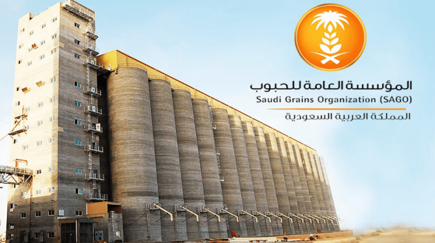 غدًا.. مؤسسة الحبوب تطرح 22 وظيفة تخصصية شاغرة للتقديم