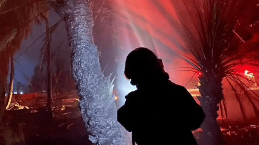 شاهد.. “المدني” يُخمد حريقًا شب في أشجار ونخيل بتبوك