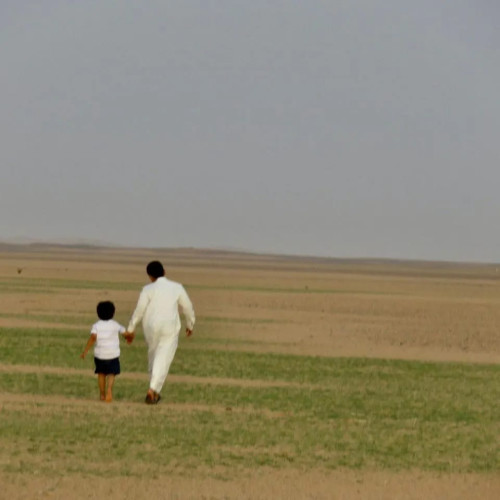 صحاري بني سنامة في وادي الدواسر تكتسي بالأخضر