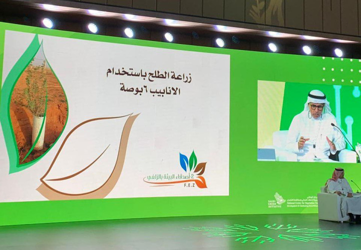 الفهد : نجاح زراعة أشجار الطلح بواسطة الأنابيب لمكافحة التصحر