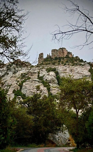 تجاوبًا مع مقترح الفنان خالد عبدالرحمن.. رئيس بلدية تنومة يقف على موقع سياحي