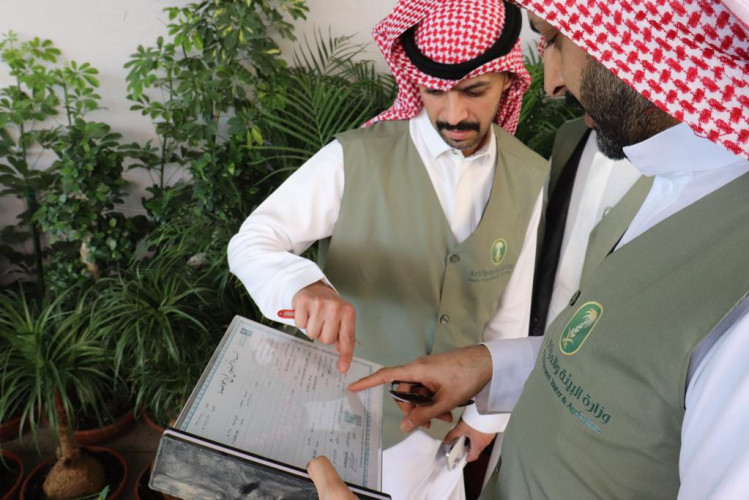 “زراعة حائل” تواصل جولاتها  في محلات المشاتل ومواقع النحالين