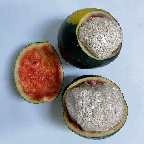 “مكافحة المخدرات” تضبط(765)ألف قرص من مادة الإمفيتامين المخدر بمدينة الرياض مخبأة داخل شحنة “بطيخ”