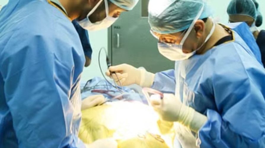 دون جروح خارجية وبأيدي كفاءات طبية.. نجاح كبير لجراحات تجميل الأنف بمستشفى سليمان الحبيب بالخُبر