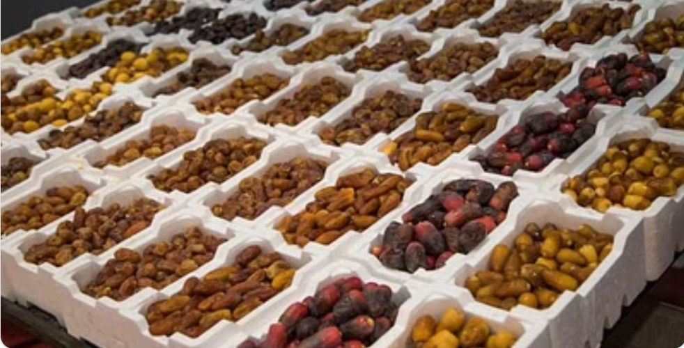 مليون نخلة تثري مهرجان التمور في الجوف بإنتاجها الوفير