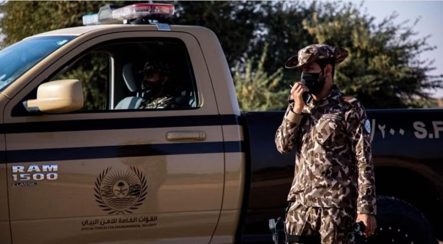 ضبط 13 مخالفًا لنظام البيئة لإشعالهم النار في المناطق المحمية وأراضي الغطاء النباتي