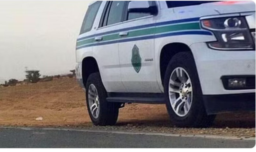 ضبط 3 مواطنين مخالفين بحوزتهم حطب للبيع في تبوك والشرقية