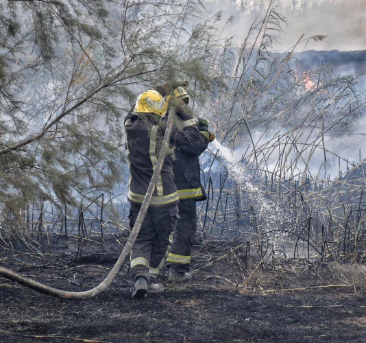 مدني حائل يُخمد حريقًا في حشائش بوادي الأديرع.. ولا إصابات