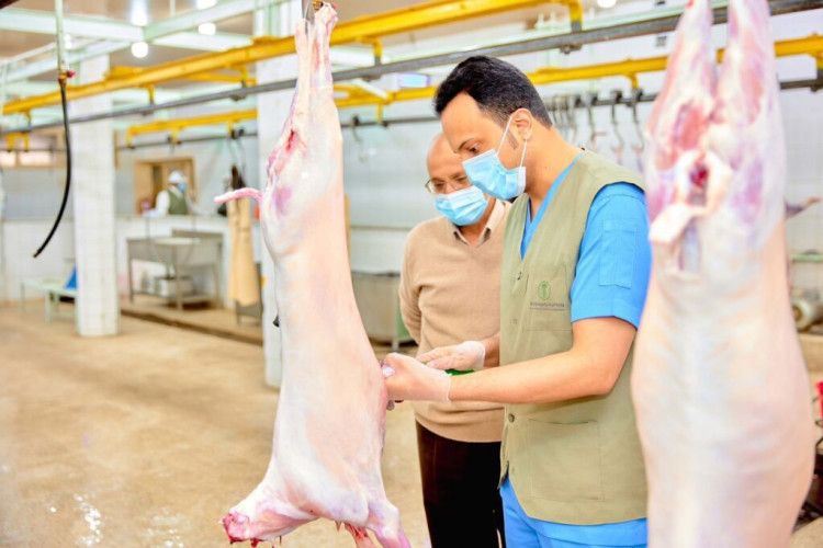 إدارة الأسواق والمسالخ في بيئة حائل تكثف حملاتها