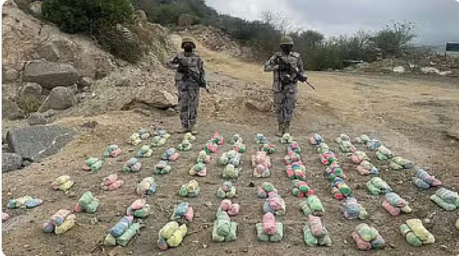 حرس الحدود بجازان يطيح بـ3 مخالفين لتهريبهم 46 كيلوجرامًا من القات المخدر