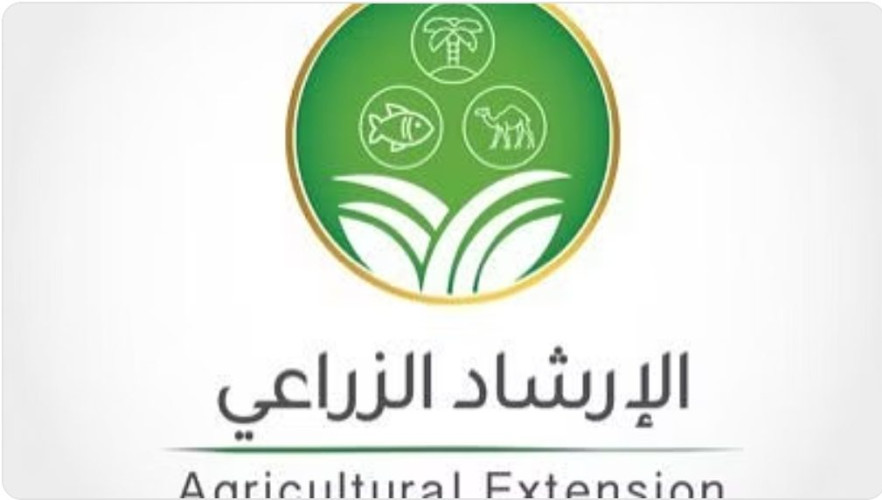 “الإرشاد الزراعي” يحذّر مزارعي الحمضيات: لا ترشوا المبيدات العشبية في سبتمبر