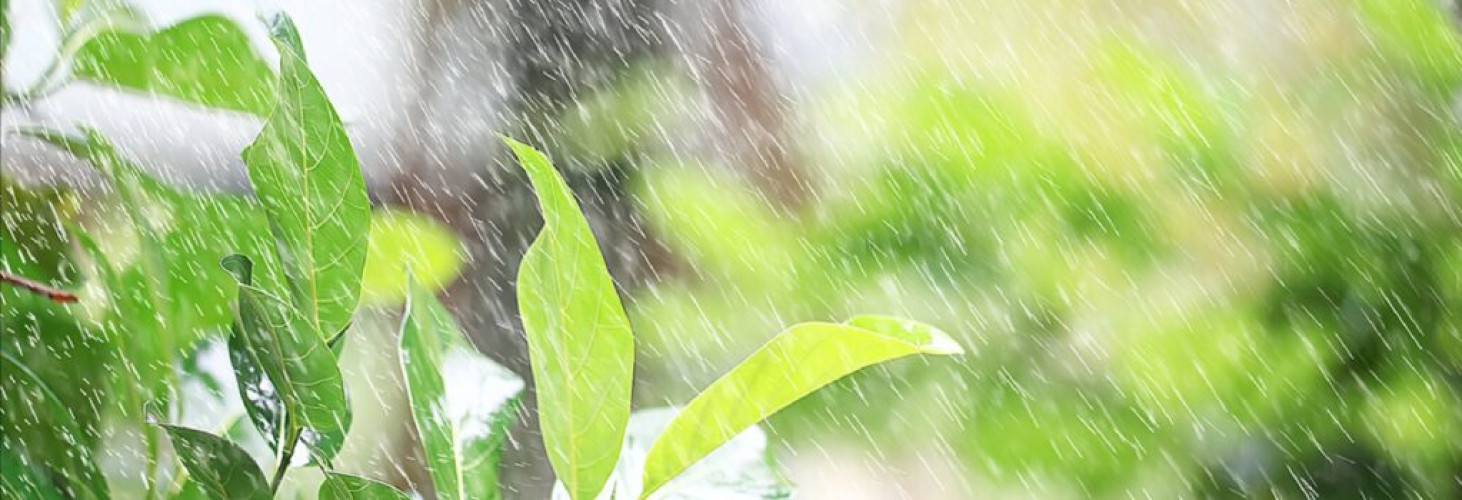 منطقة مكة المكرّمة تسجّل أعلى كمياتٍ لهطول الأمطار بـ(60.0)ملمترًا