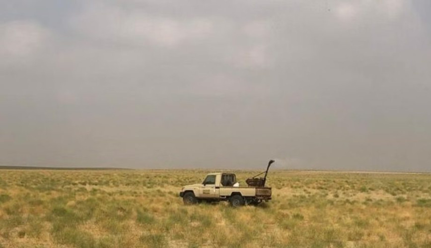 “وقاء مكة”: نجاح مكافحة الجراد الصحراوي في 41 موقعًا بالليث والقنفذة