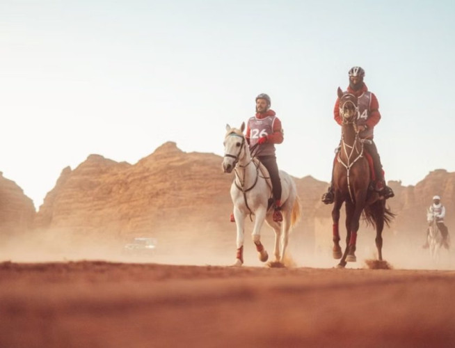 بمشاركة “150” فارسًا وفارسة.. العلا تستضيف كأس وزارة الرياضة للقدرة والتحمل