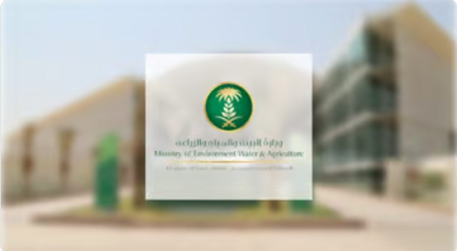 “البيئة”: السماح بزراعة القمح والأعلاف الموسمية يُسهم في تحقيق الأمن المائي واستدامة الموارد