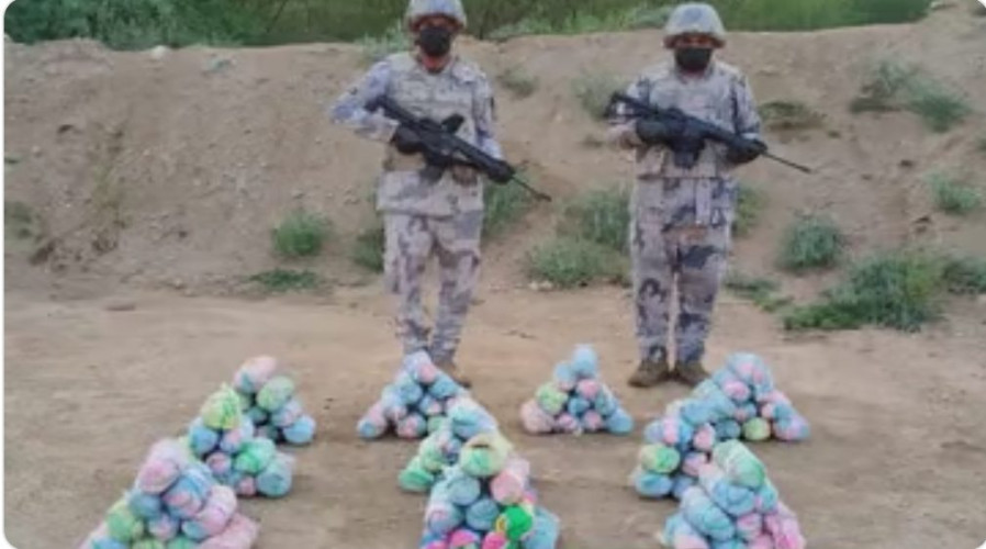 جازان.. حرس الحدود يحبط تهريب 105 كيلوجرامات من نبات القات المخدر