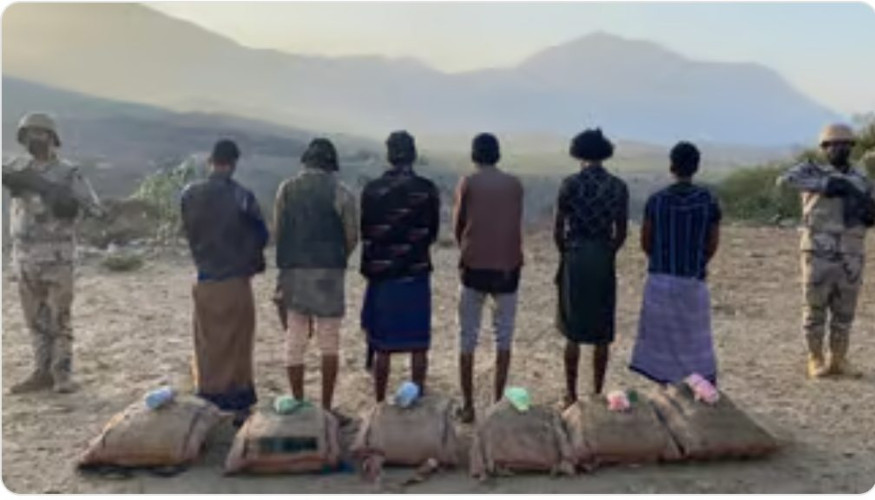 جازان.. القبض على 6 مخالفين لتهريبهم 91 كلجم من نبات القات المخدر