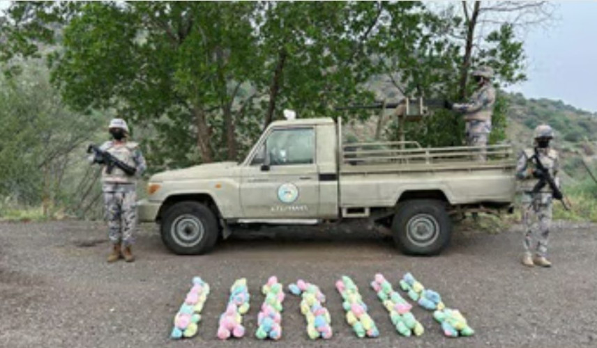 حرس الحدود بجازان يحبط تهريب 280 كجم قات في العارضة