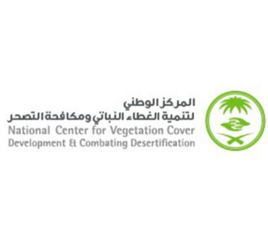 “الغطاء النباتي” : 600% زيادة في المساحات الخضراء بمنطقة مكة المكرمة