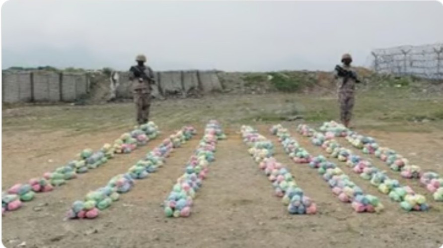 حرس الحدود بجازان يحبط تهريب 120 كجم قات في الدائر